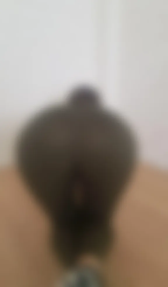 Jola